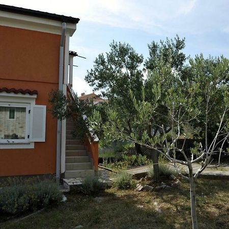 Apartman Branka Kornić المظهر الخارجي الصورة